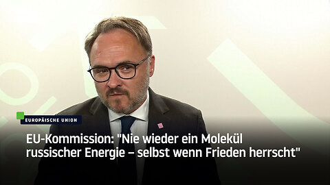 EU-Kommission: "Nie wieder ein Molekül russischer Energie – selbst wenn Frieden herrscht"