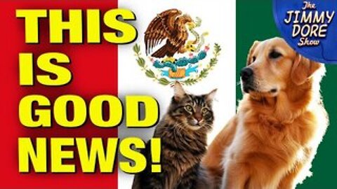 Last Mexican State OUTLAWS Animal Abuse!