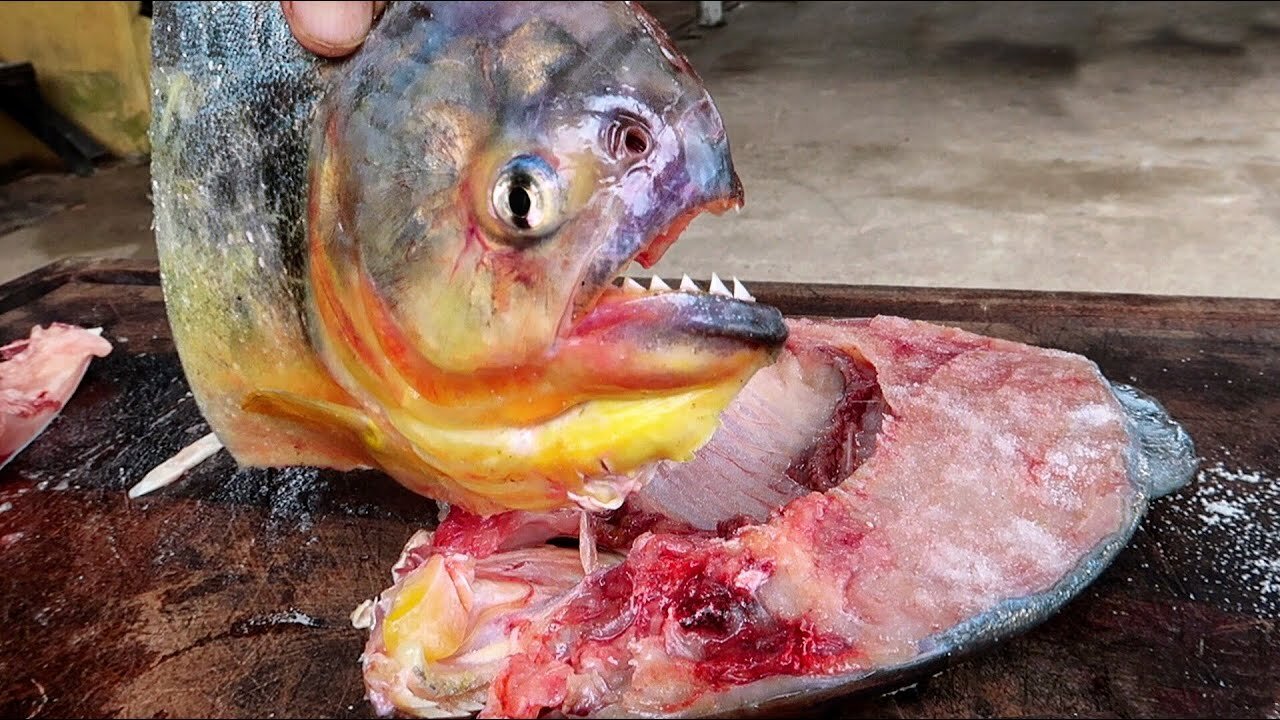 Eating a fish that can eat us!