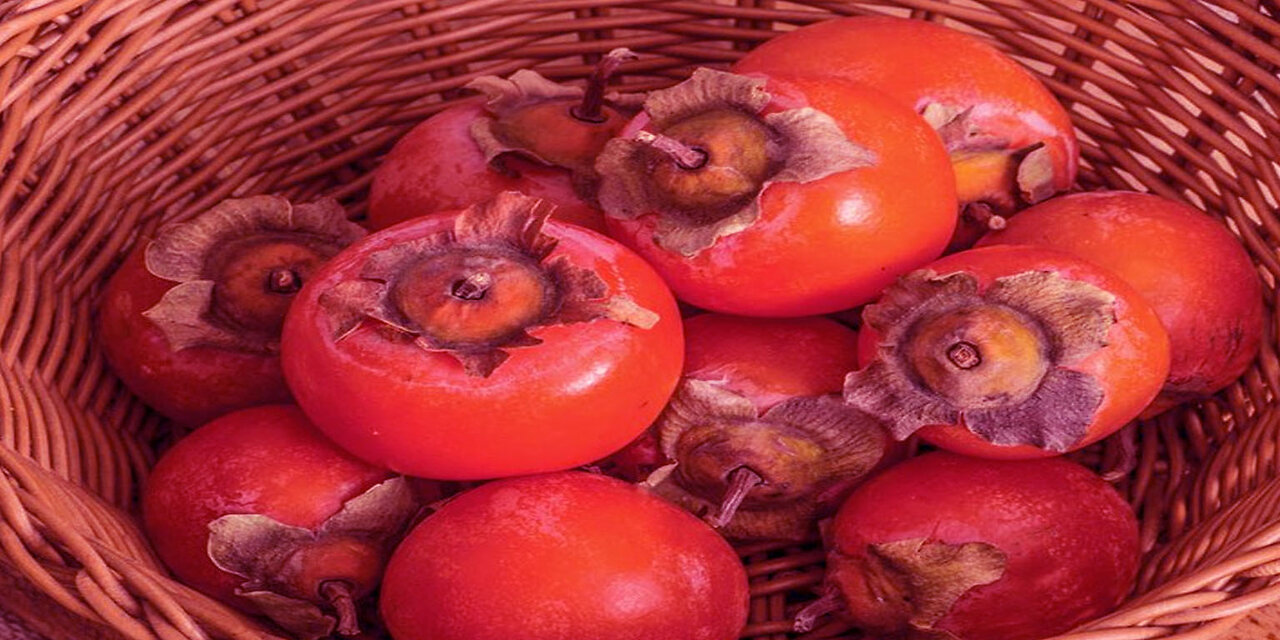 YOURS TRULY COVERING STEELY DAN'S HOME AT LAST KARAOKE