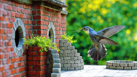 I Built an Airbnb for Birds (with reactions)