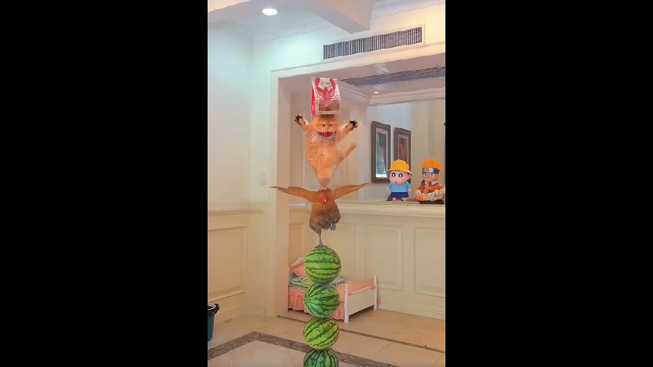 funny animal 🤣🤣🤣