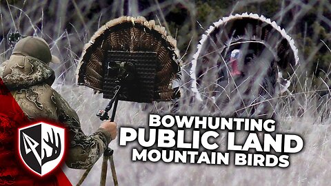 Public Land Turkeys! Nowhere to Hide!