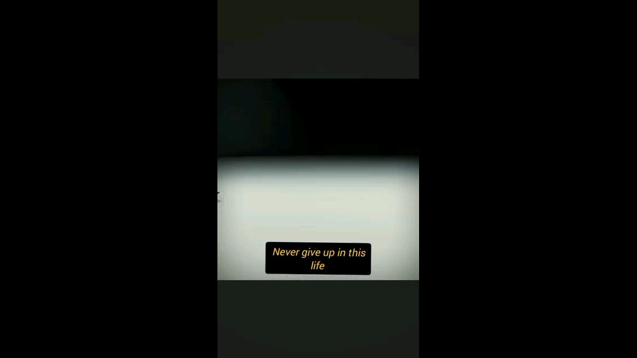 never give up in success