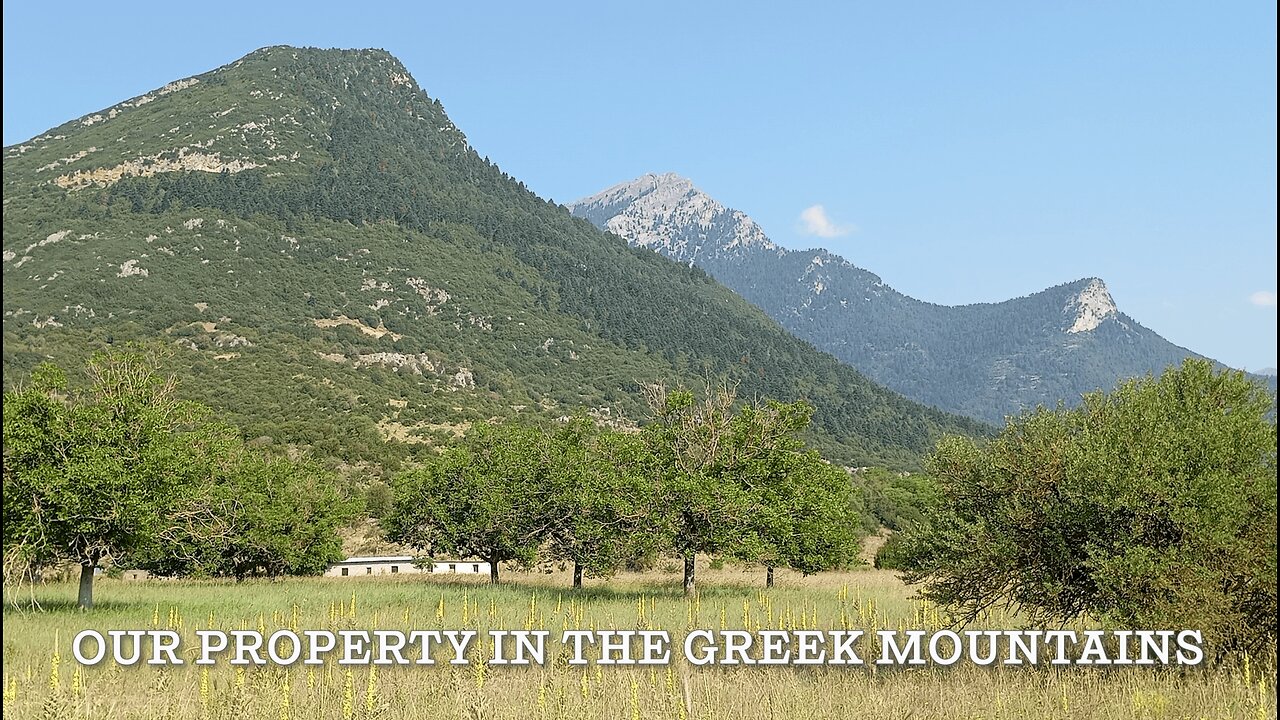 First home goes on the land of our upcoming Advaita Vedanta Ashrama in the Greek mountains! 22/6/25