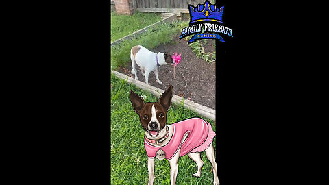 Princess shoves her nose in windmill