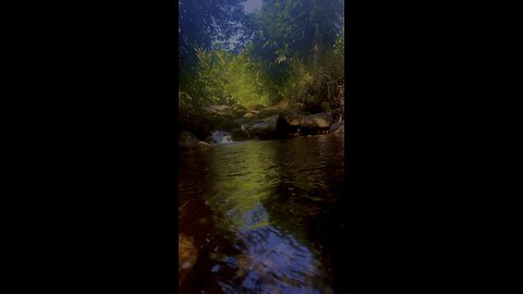 The nature is so beautiful
