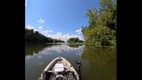 Kayaking Mooresville creek, Limestone Bay 2025