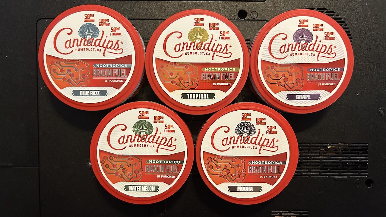 Cannadips Brain Fuel (Nootropic Pouches) Review