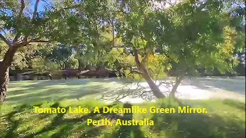 Tomato Lake. A Dreamlike Green Mirror. Perth, Australia