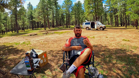 Daily Delights: Waking Up in My Forest Van Home