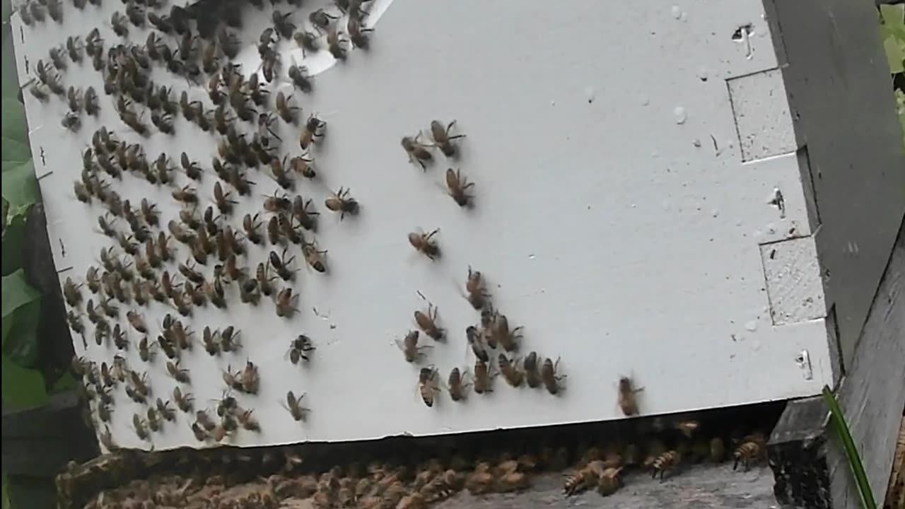 Friday Morning Sunrise