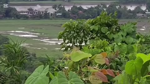 🚤🔥 Myanmar War | Joint Resistance Forces Strike Ships on Chindwin River | RCF