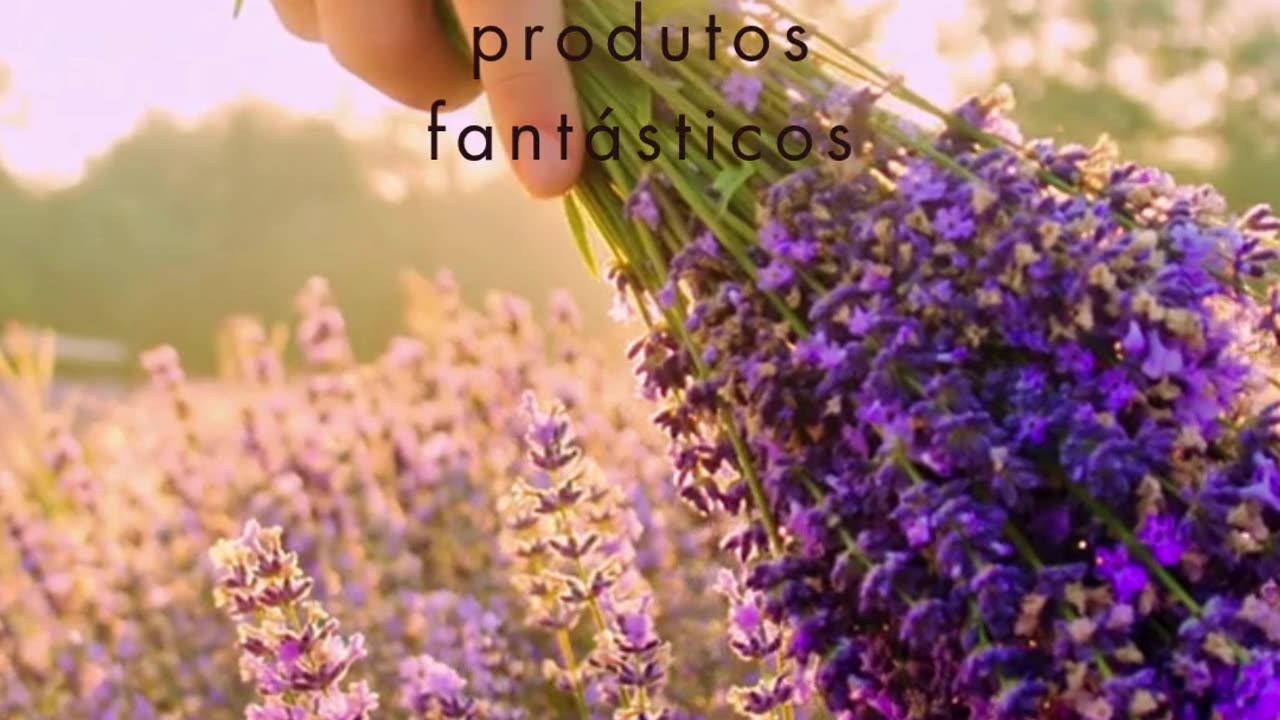 iroticus