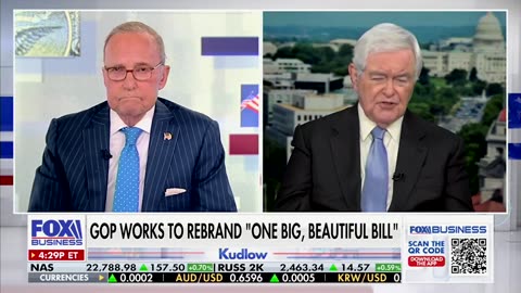 Newt Gingrich Warns GOP Is Missing Easy Wins In Gubernatorial Races