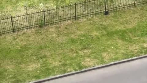 🛡️⚔️ Ukraine Russia War | Civilian Disrupts TCC Mobilization with a Jar Throw | RCF