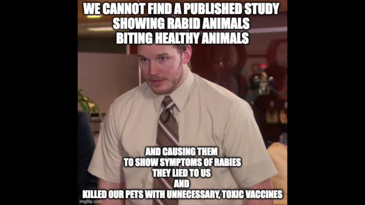 YOU MAKE BUNNY CRY -- Ad #1 for 8th grade mentalities