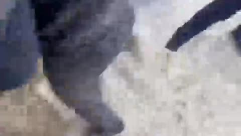 Another volunteer rushes to defend Ukraine.