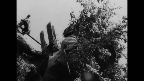 P-47 Thunderbolt takes a direct hit from German light flak and goes down in 1944