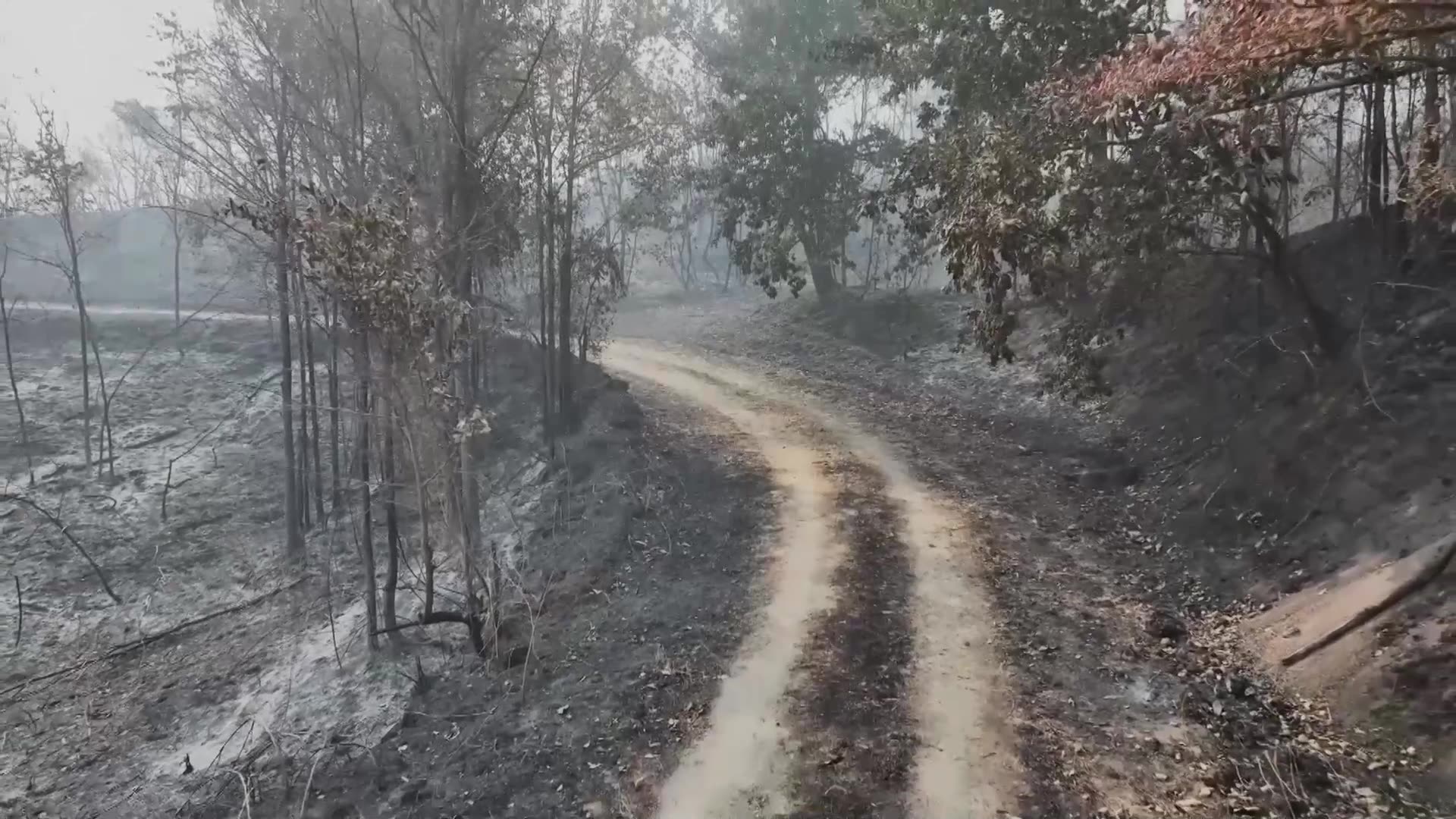 Drone footage shows aftermath of wildfires in Spain