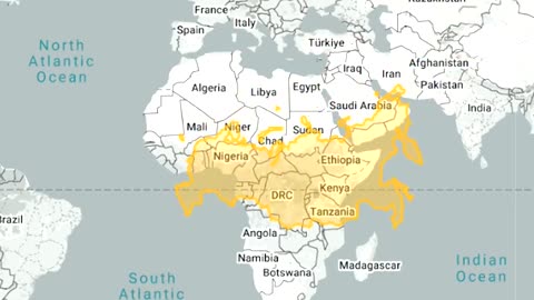The true size of countries