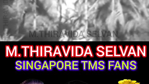 muzhu nilavu 1980 TMS LEGEND M.THIRAVIDA SELVAN SINGAPORE TMS FANS