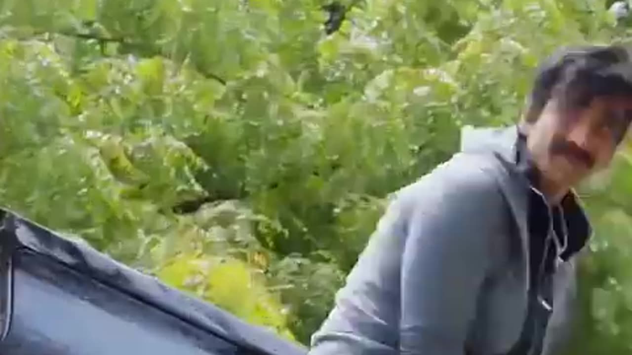 South movie clips