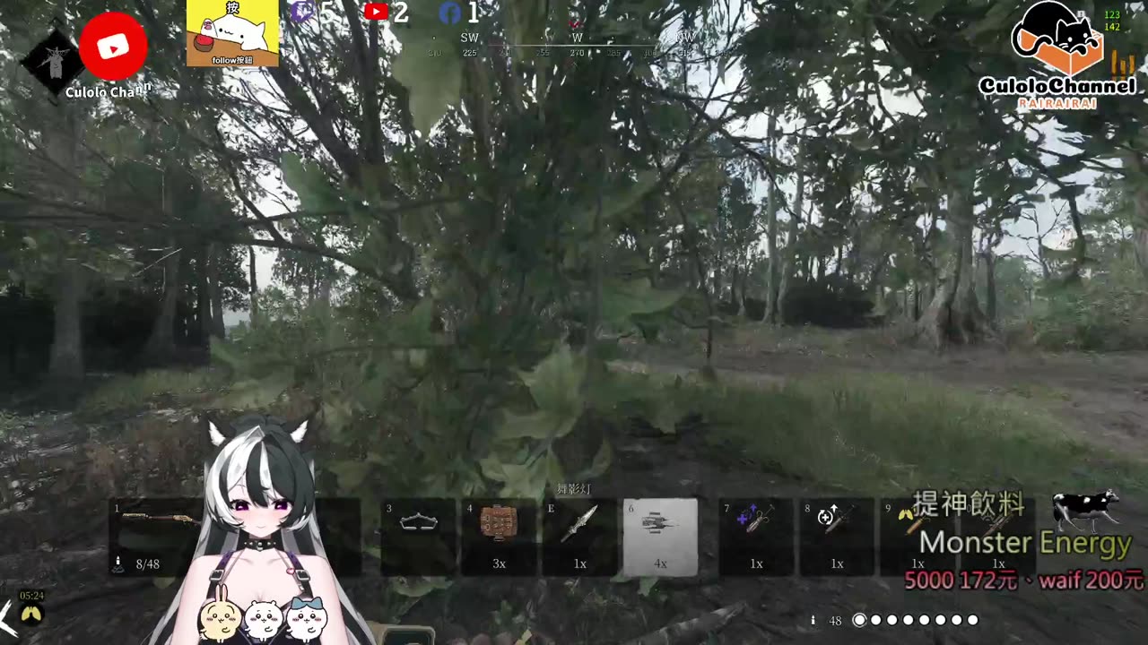 🌱vs🧟‍♀️ New version⭐新手向⭐🥺倉鼠系玩家🥺| 來聊天R ✨💎(๑˃̵ᴗ˂̵)و Culolo Channel(๑˃̵ᴗ˂̵)و 5 Taiwan優質台💎✨