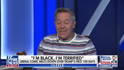'MADE MY MORNING' McEnany on CNN's meltdowns over Trump's actions.