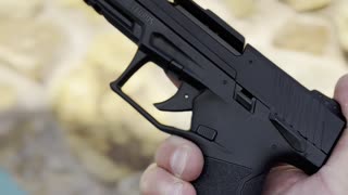 Taurus TX22 Competition SCR