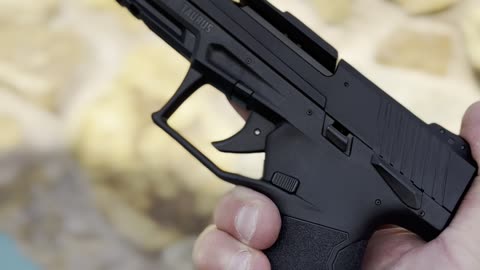 Taurus TX22 Competition SCR