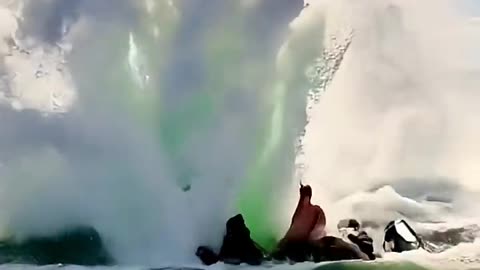 Funny video