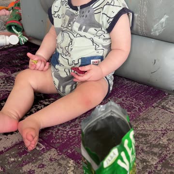 French Bulldog and Toddler Share Veggie Crisps | #FrenchBulldog #ToddlerLife