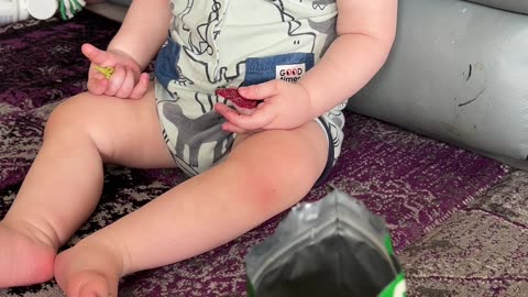 French Bulldog and Toddler Share Veggie Crisps | #FrenchBulldog #ToddlerLife