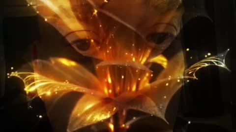 crazy video