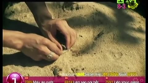 Kiếp Dã Tràng - Phan Đinh Tùng ｜ VTC13 - iTV SD ｜ Mã số 7069