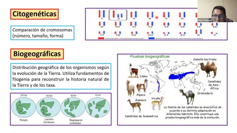 ADC SEMESTRAL PARALELO 2025 | Semana 13 | Biología