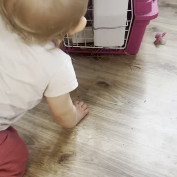 Baby Kayla Checks Out the Gray Bunny Inside the House 🐰