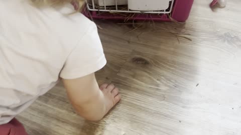 Baby Kayla Checks Out the Gray Bunny Inside the House 🐰