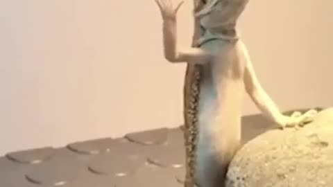 😂🤯 I've Mastered the Art of Standing So Still! | FunFM