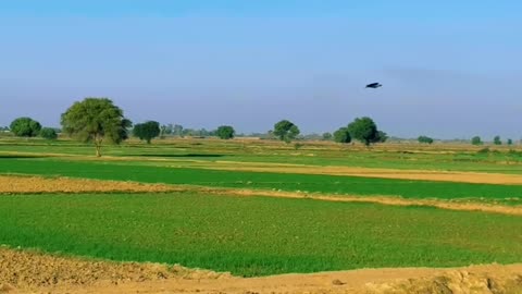 My Village Beautiful ❤ #maxrecords #villagelife #larkana #sindh #pakistan