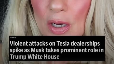 Tesla Owners Under Attack?