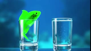 FISHY FISH