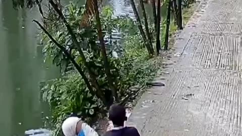 Funny video song