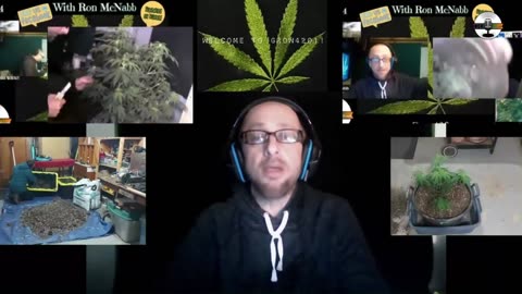 Grow 420 Today