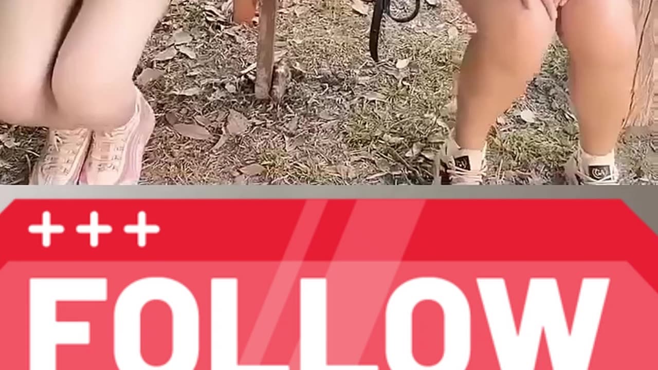 funny videos (Follow My Channel)