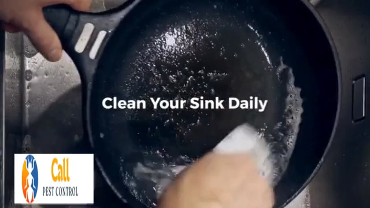 How to Clean Your Kitchen to Prevent Pests – Quick & Easy Routine