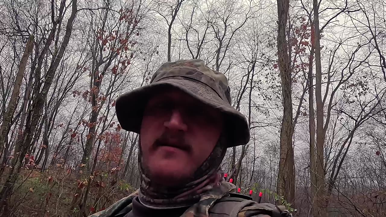 Archery Hunt 2024