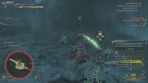 Intro to Nerscylla