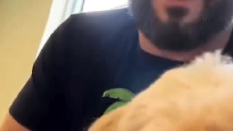 Adopting a dog